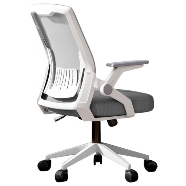 Ghế công thái học CTH103-G