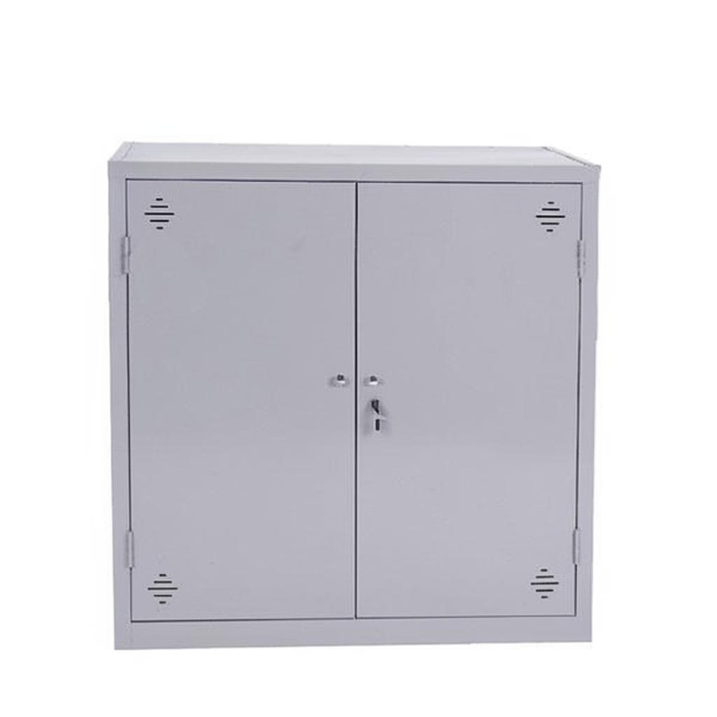 Tủ tài liệu sắt dạng thấp TS05