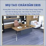md cau tao chan ban bgd66n
