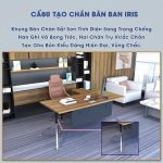 md cau tao chan ban iris 1