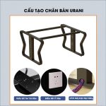 md cautaochanban 7