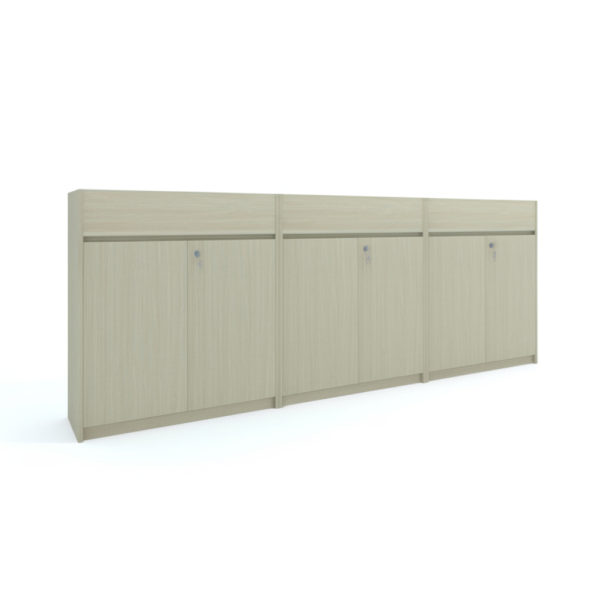 Hệ tủ cây văn phòng 2m4 TL6024