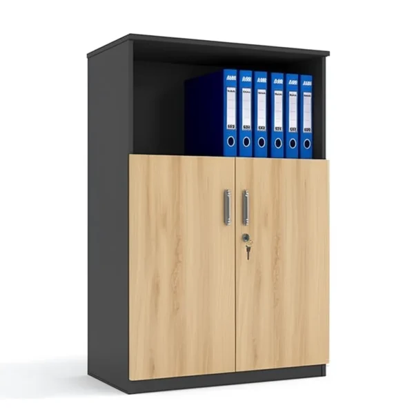 Tủ hồ sơ 80cm TL24